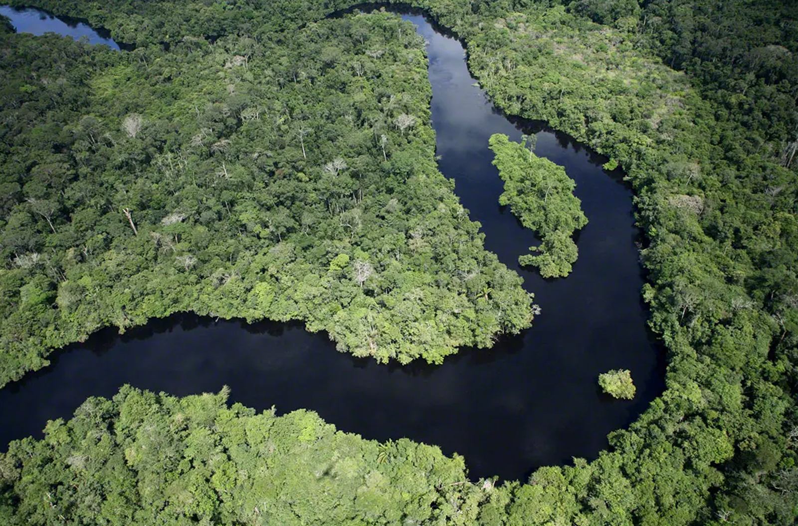 Cristalino Lodge en Amazonas