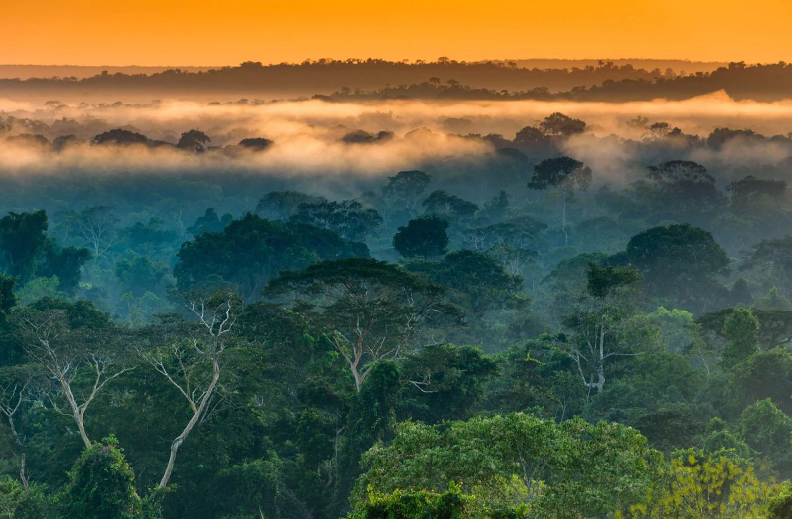Cristalino Lodge en Amazonas