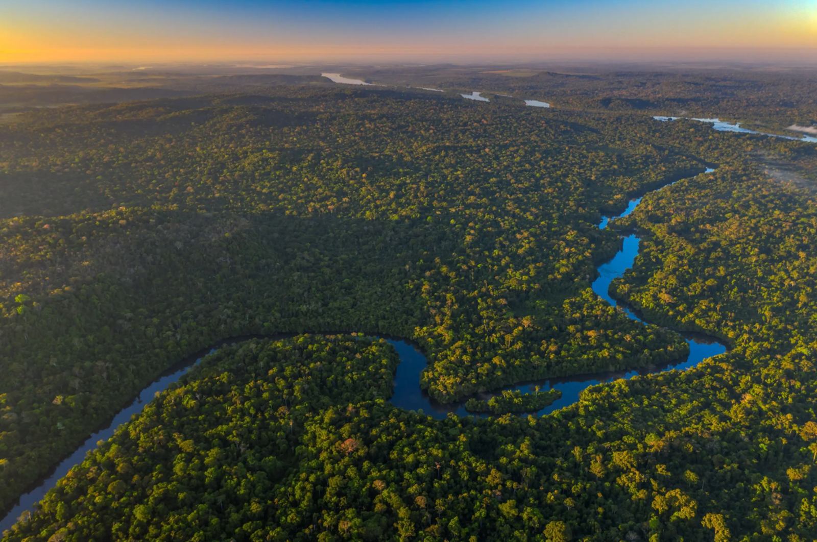 Cristalino Lodge en Amazonas