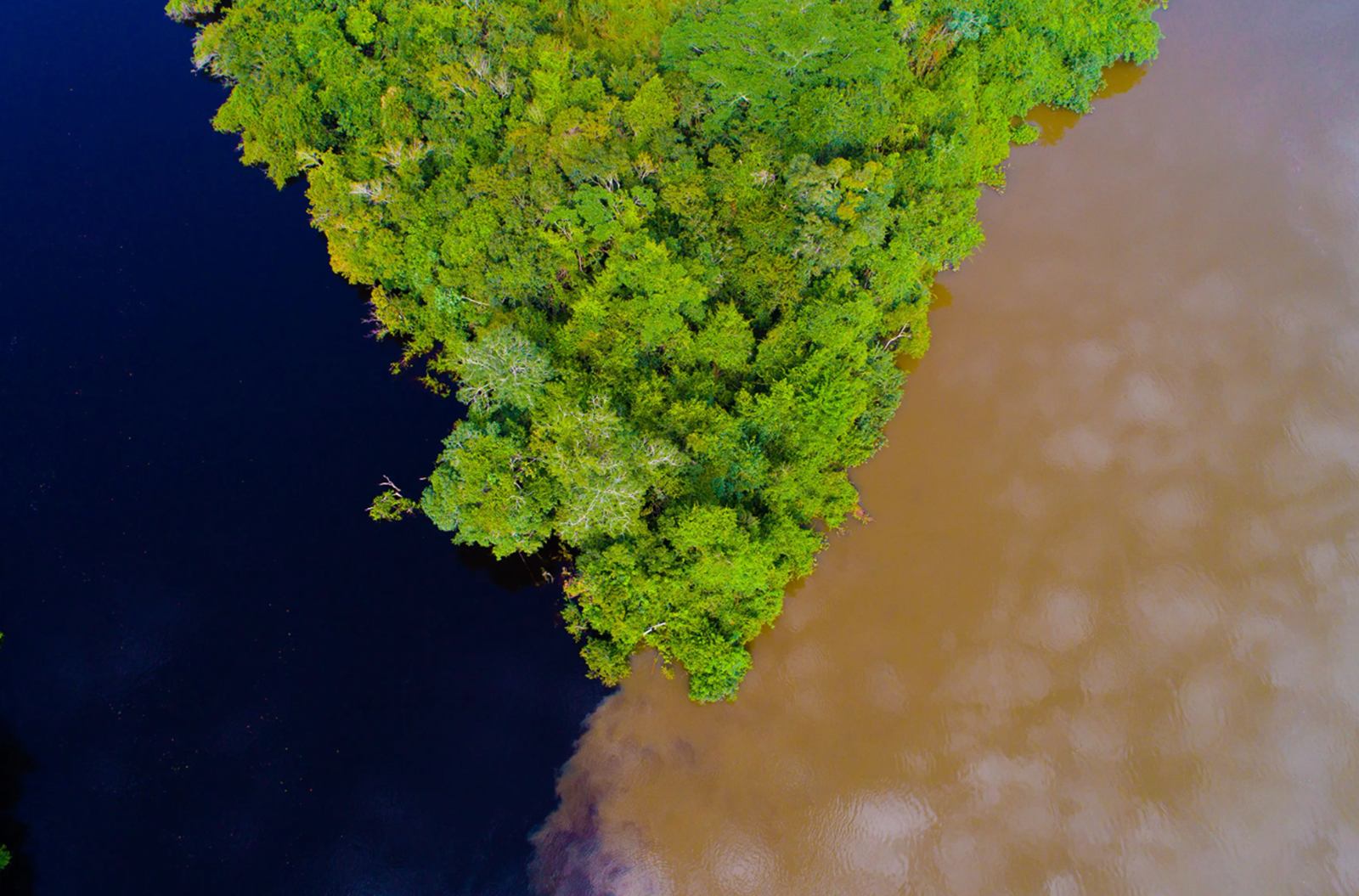 Cristalino Lodge en Amazonas