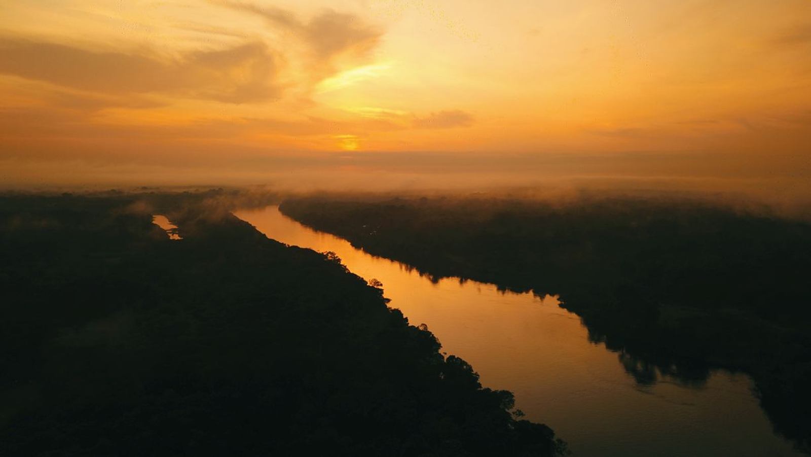 Dolphin Lodge en Amazonas