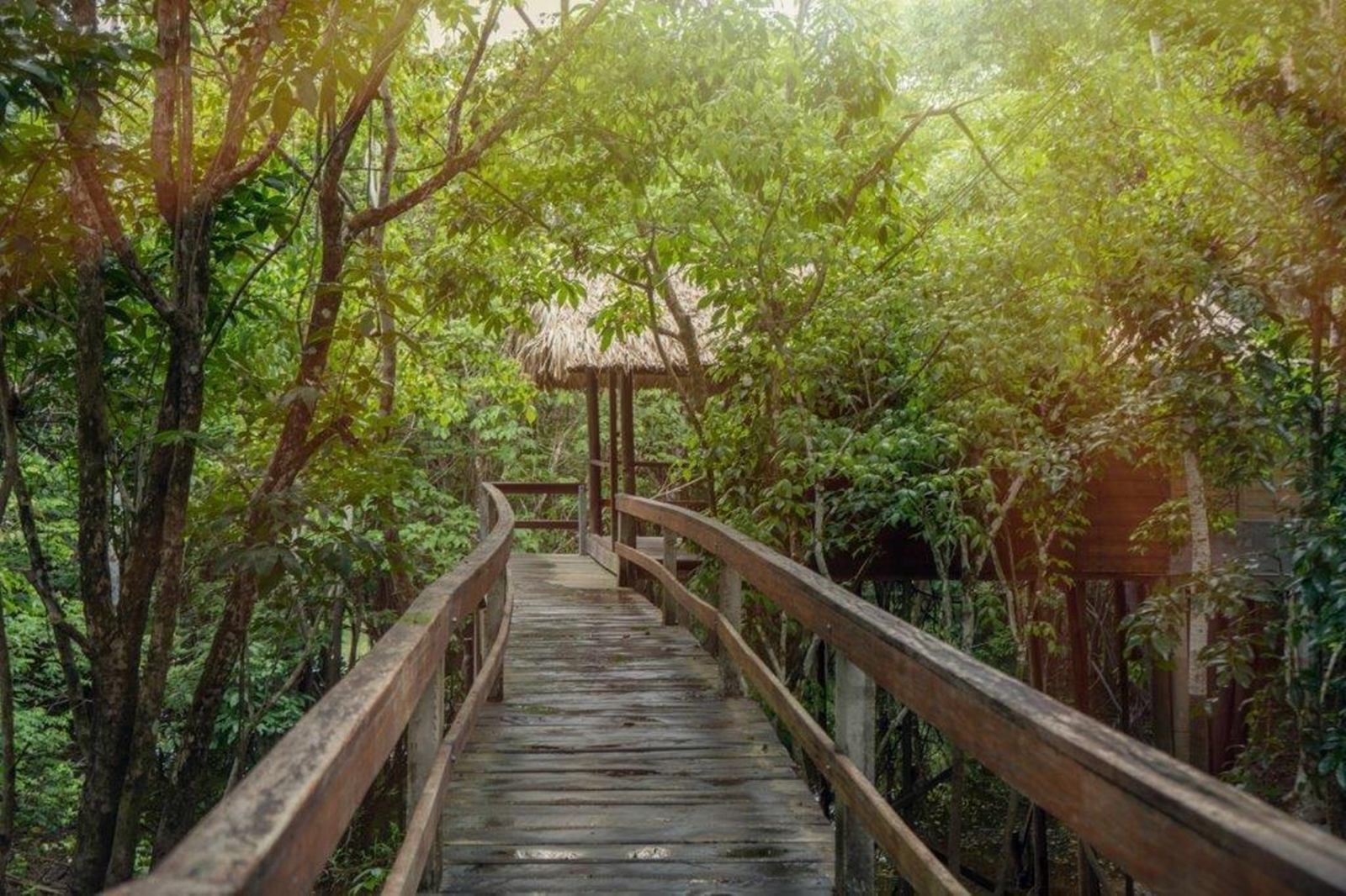 Dolphin Lodge en Amazonas