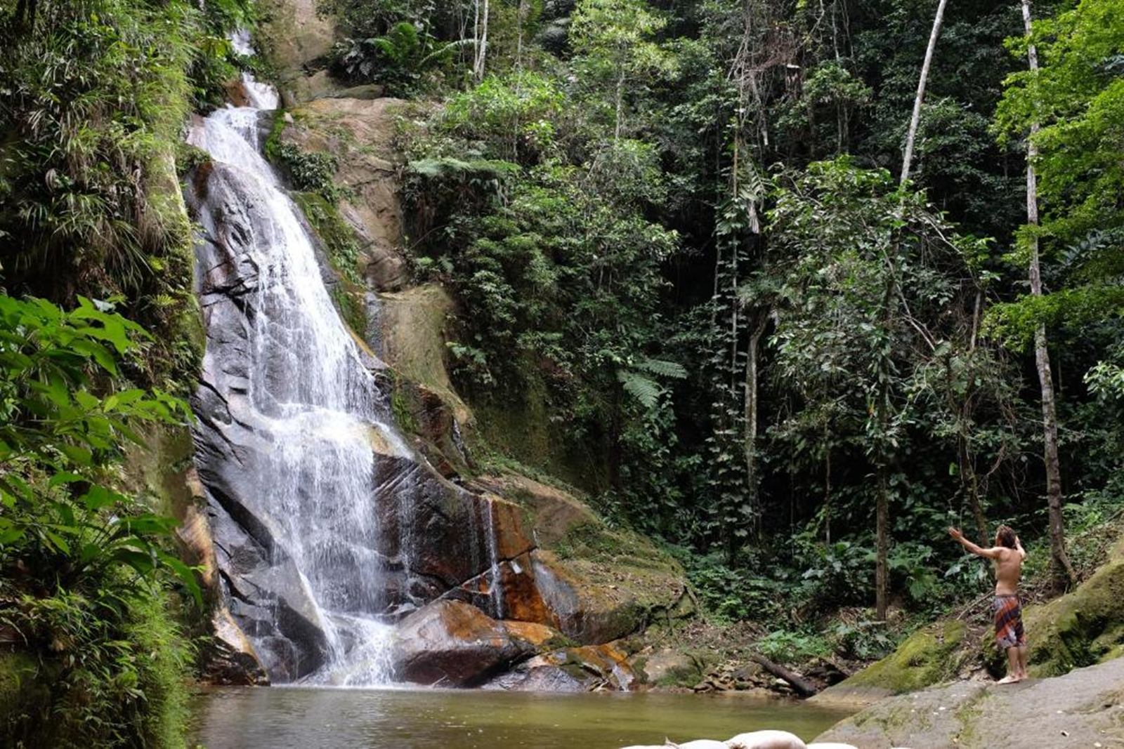  Pumarinri Amazon Lodge en Amazonas Tarapoto