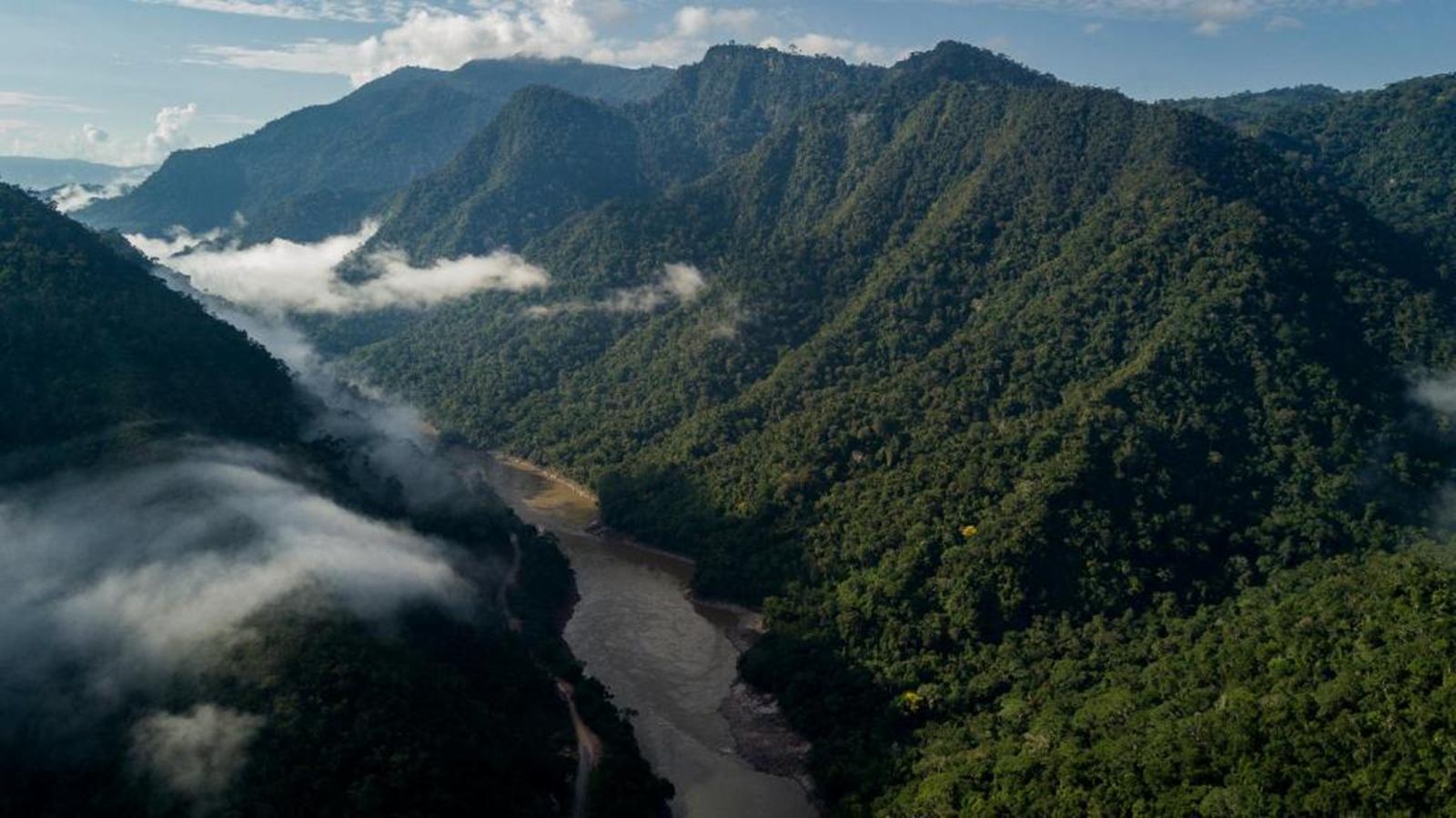  Pumarinri Amazon Lodge en Amazonas Tarapoto