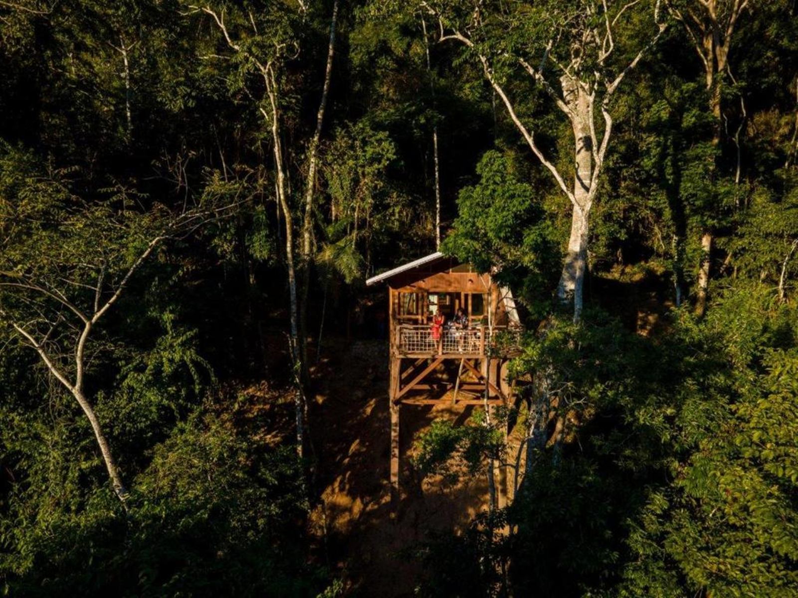  Pumarinri Amazon Lodge en Amazonas Tarapoto