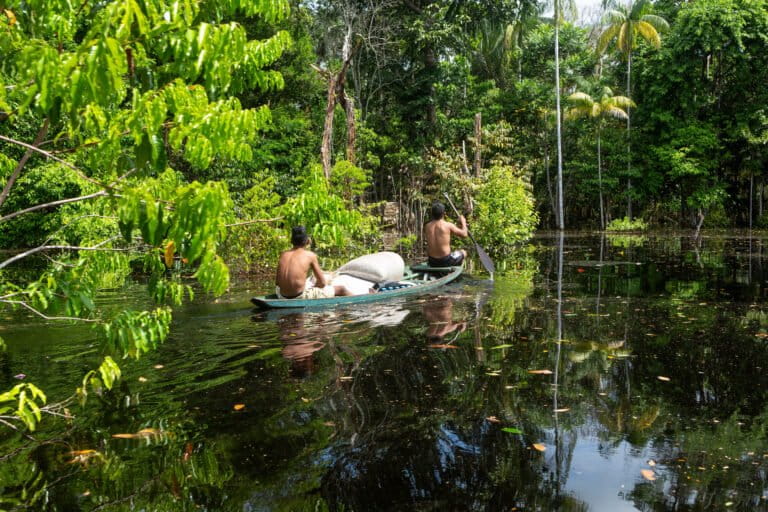 Amazonas | LAT.40