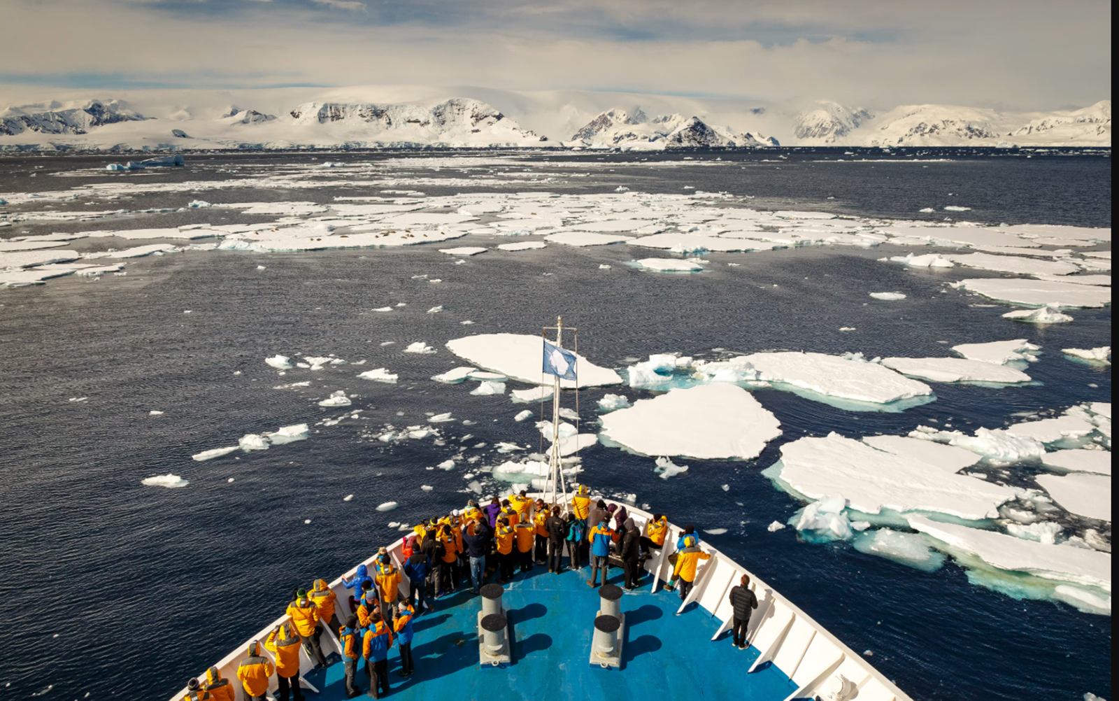 Quark Expeditions en Antártida