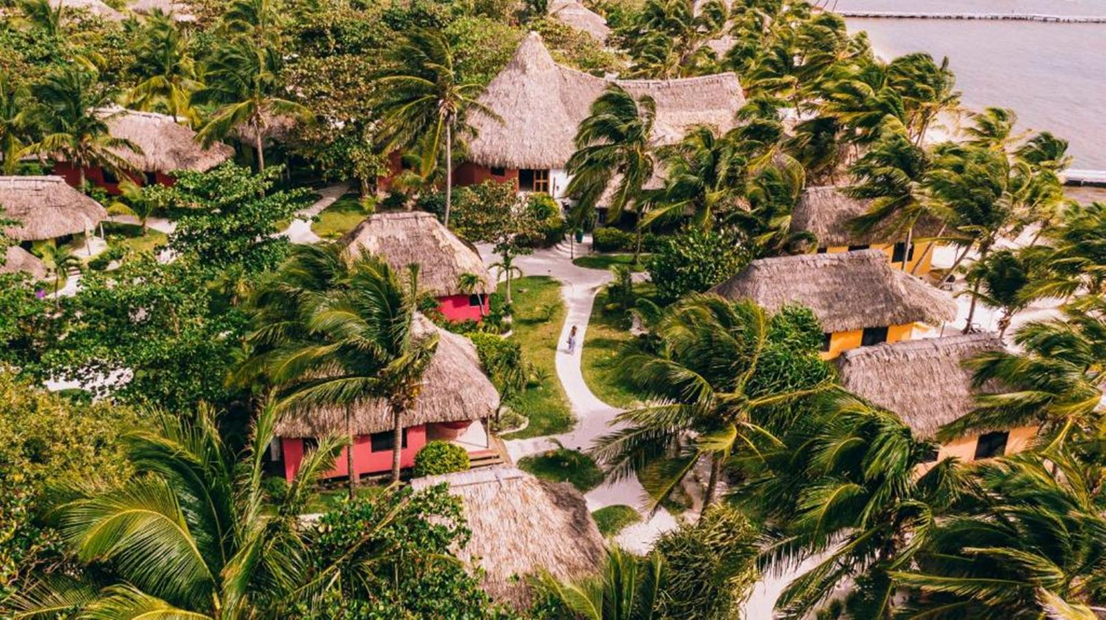 Matachica en Belize