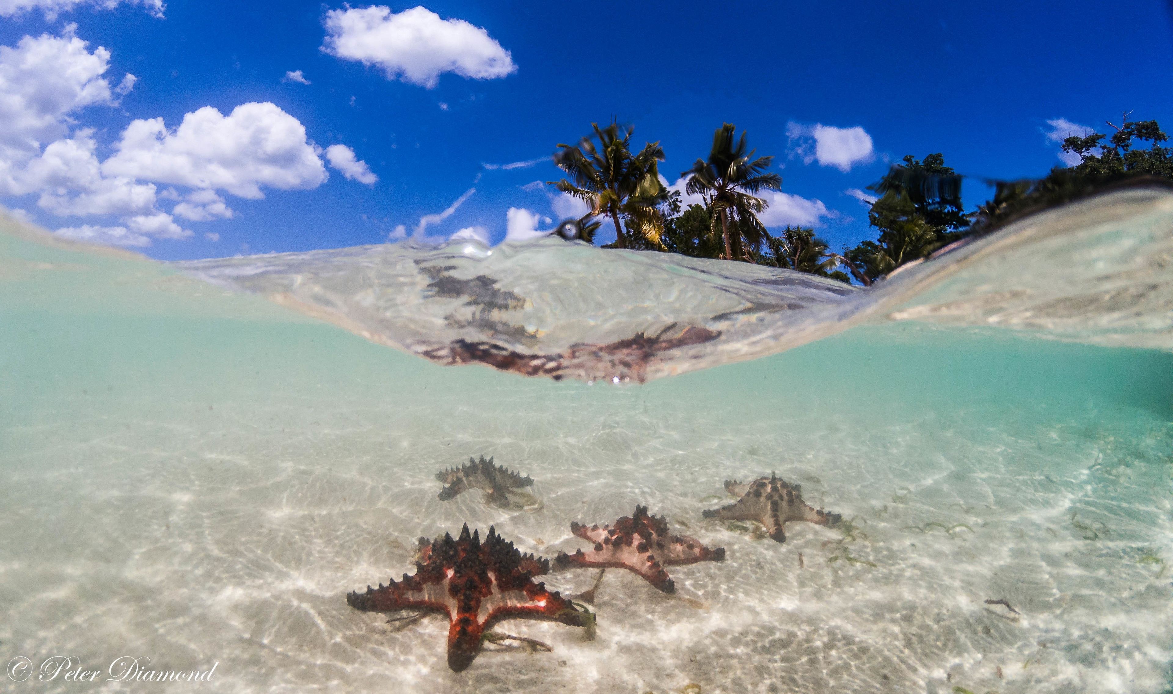  Erakor Island Resort & Spa en Vanuatu