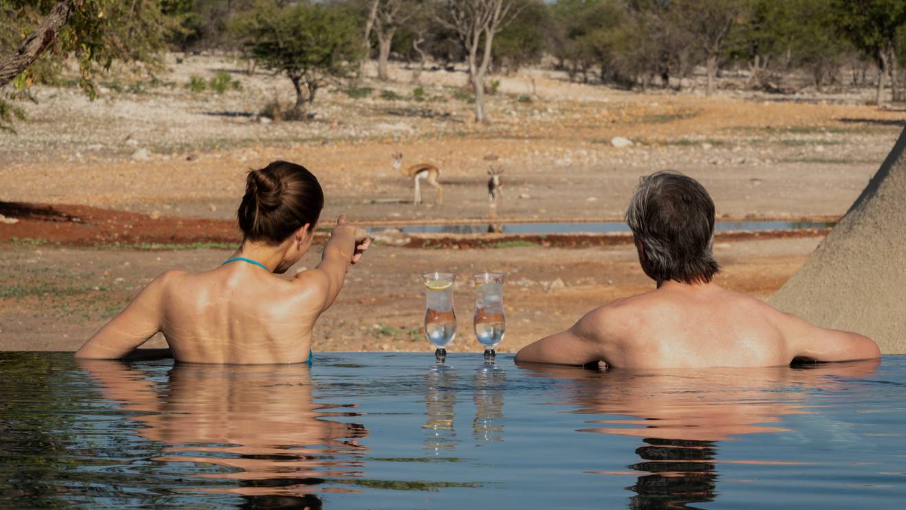 Anderssons at Ongava en Etosha Parque Nacional 