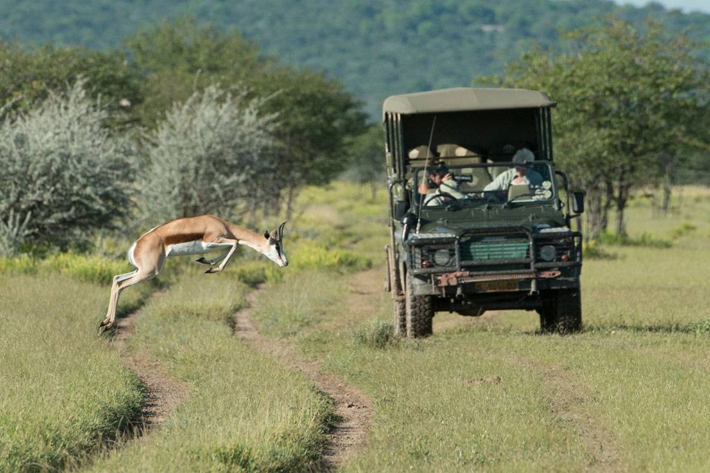 Ongava Lodge en Etosha Parque Nacional 