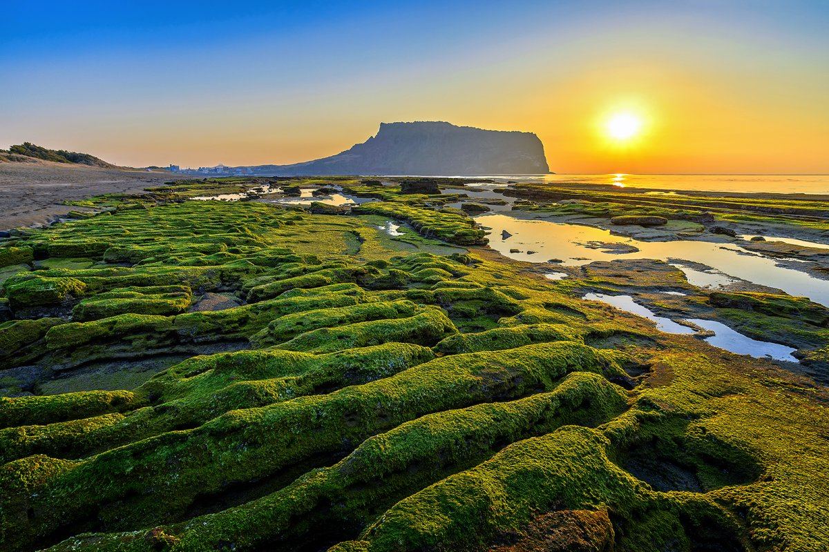Jeju | LAT.40