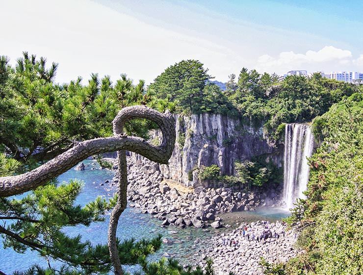 Jeju | LAT.40