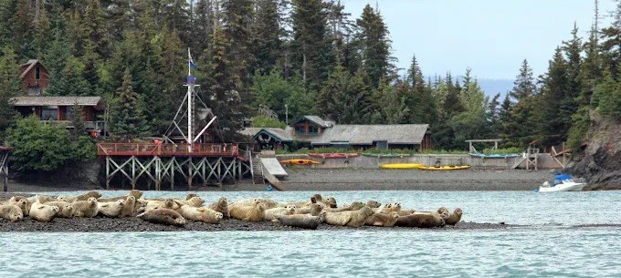 Kachemak Bay Wilderness Lodge en Alaska