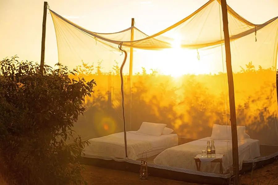 Feline Fields Lodge en Kalahari