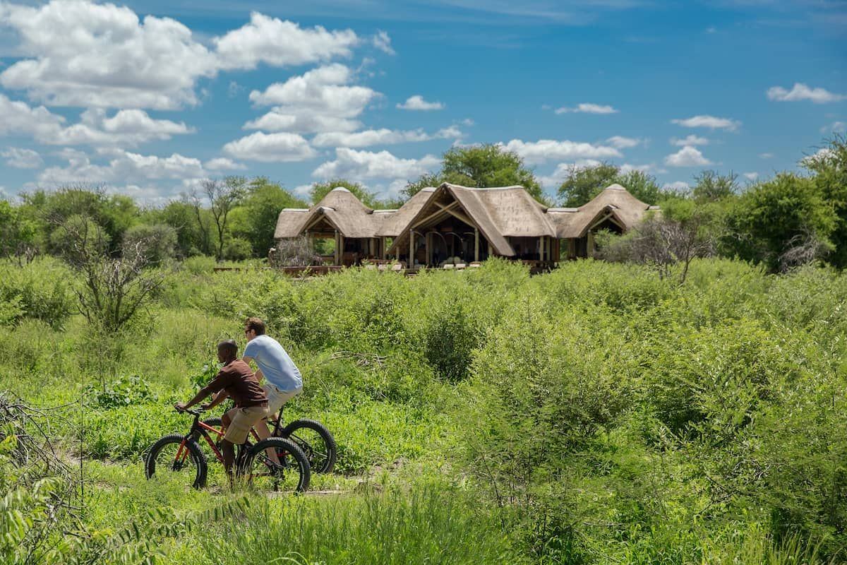 Feline Fields Lodge en Kalahari