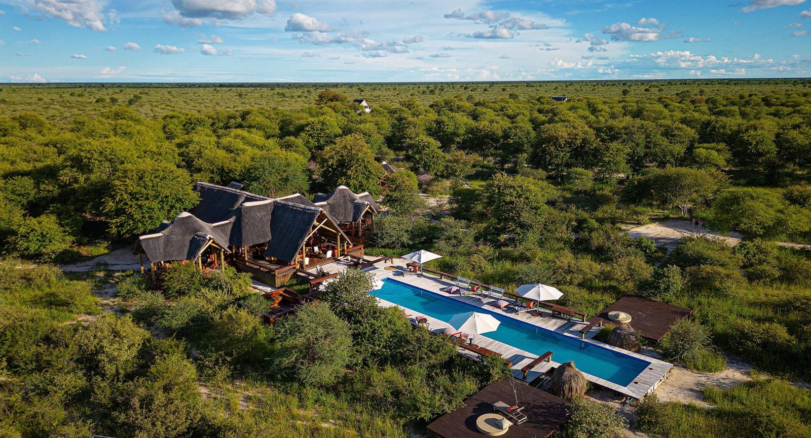 Feline Fields Lodge en Kalahari