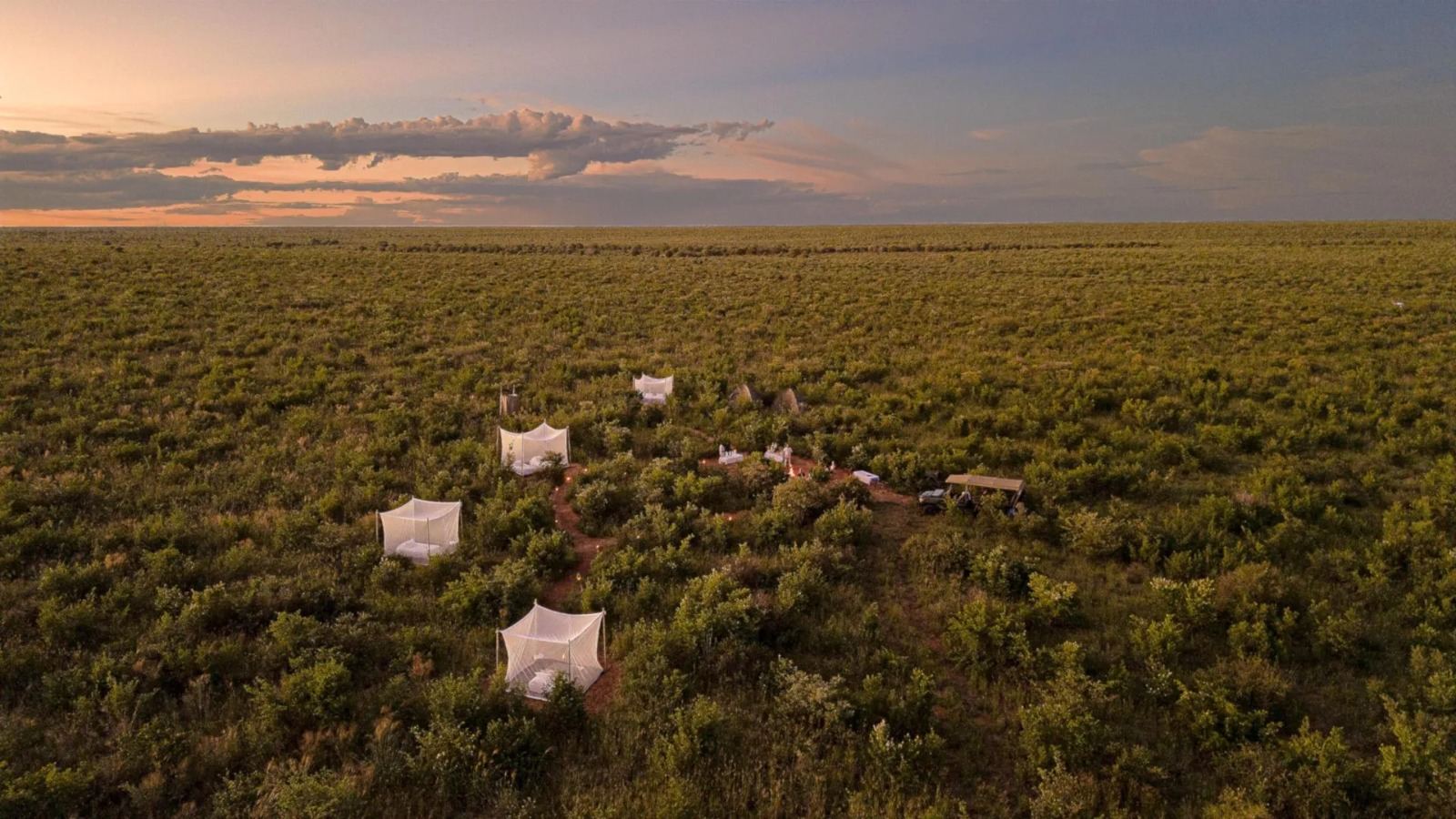 Feline Fields Lodge en Kalahari