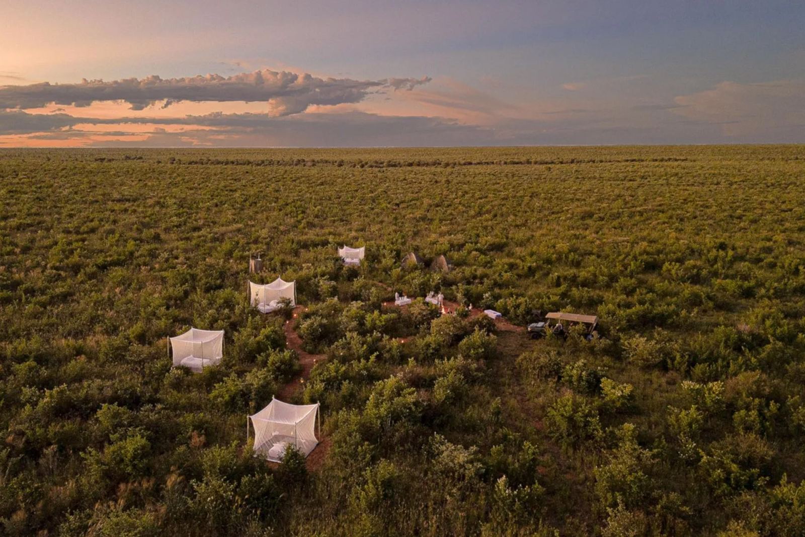 Feline Fields Lodge en Kalahari