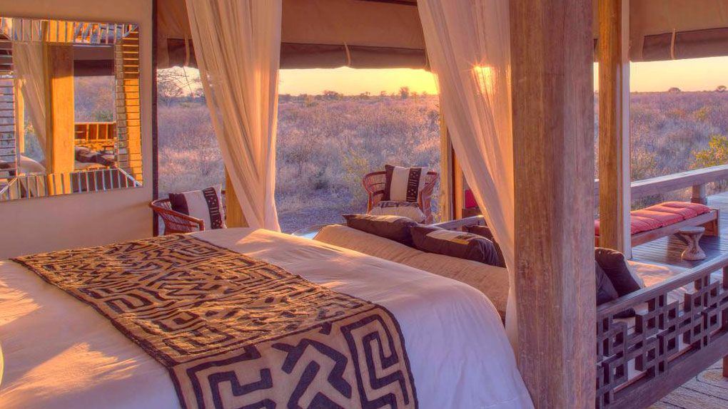 Feline Fields Lodge en Kalahari