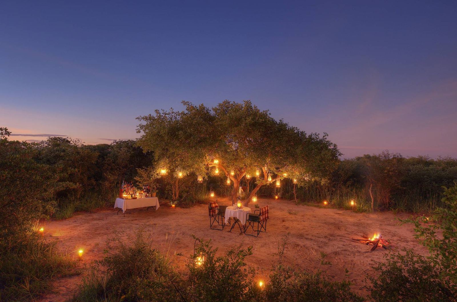 Feline Fields Lodge en Kalahari