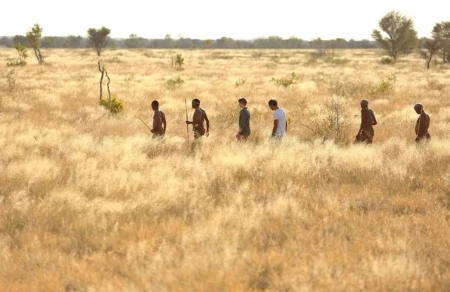 Kalahari | LAT.40