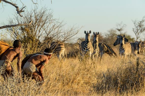 Kalahari | LAT.40