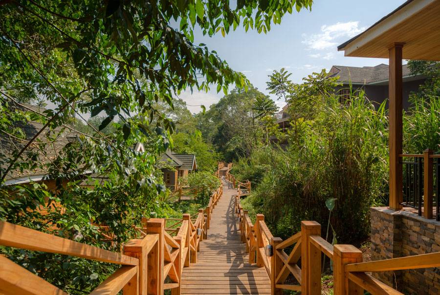 Chimpundu Lodge  en Kibale National Park