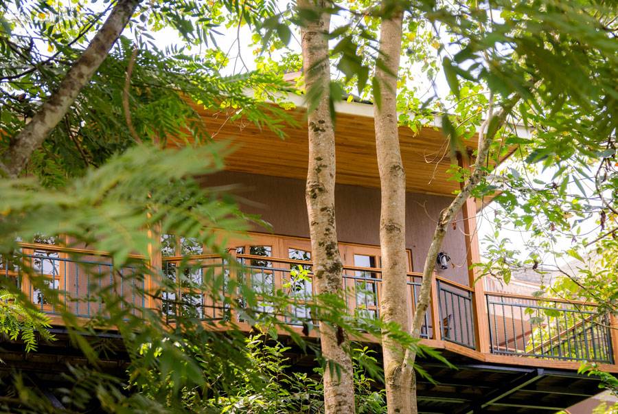 Chimpundu Lodge  en Kibale National Park