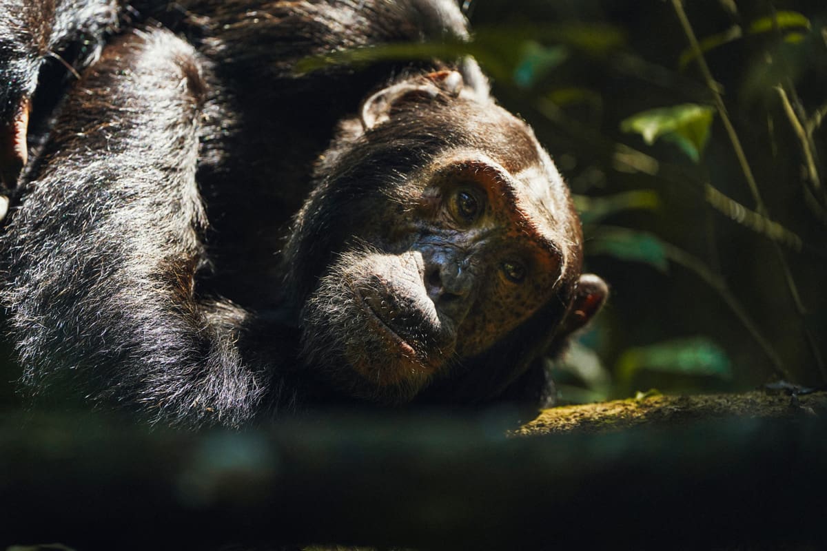 Imagen de viaje LAT.40