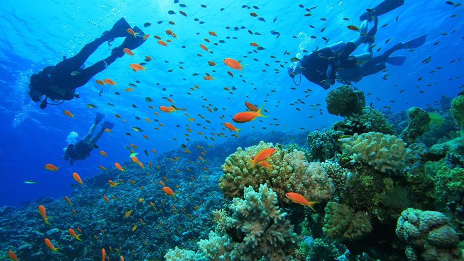 Koh Lipe | LAT.40