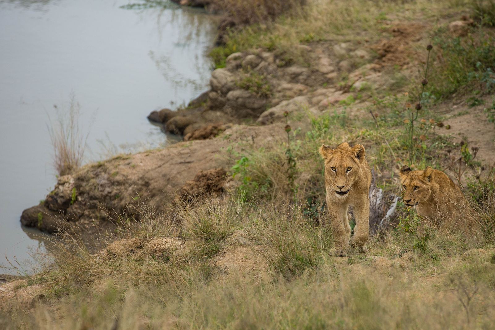 Kruger National Park