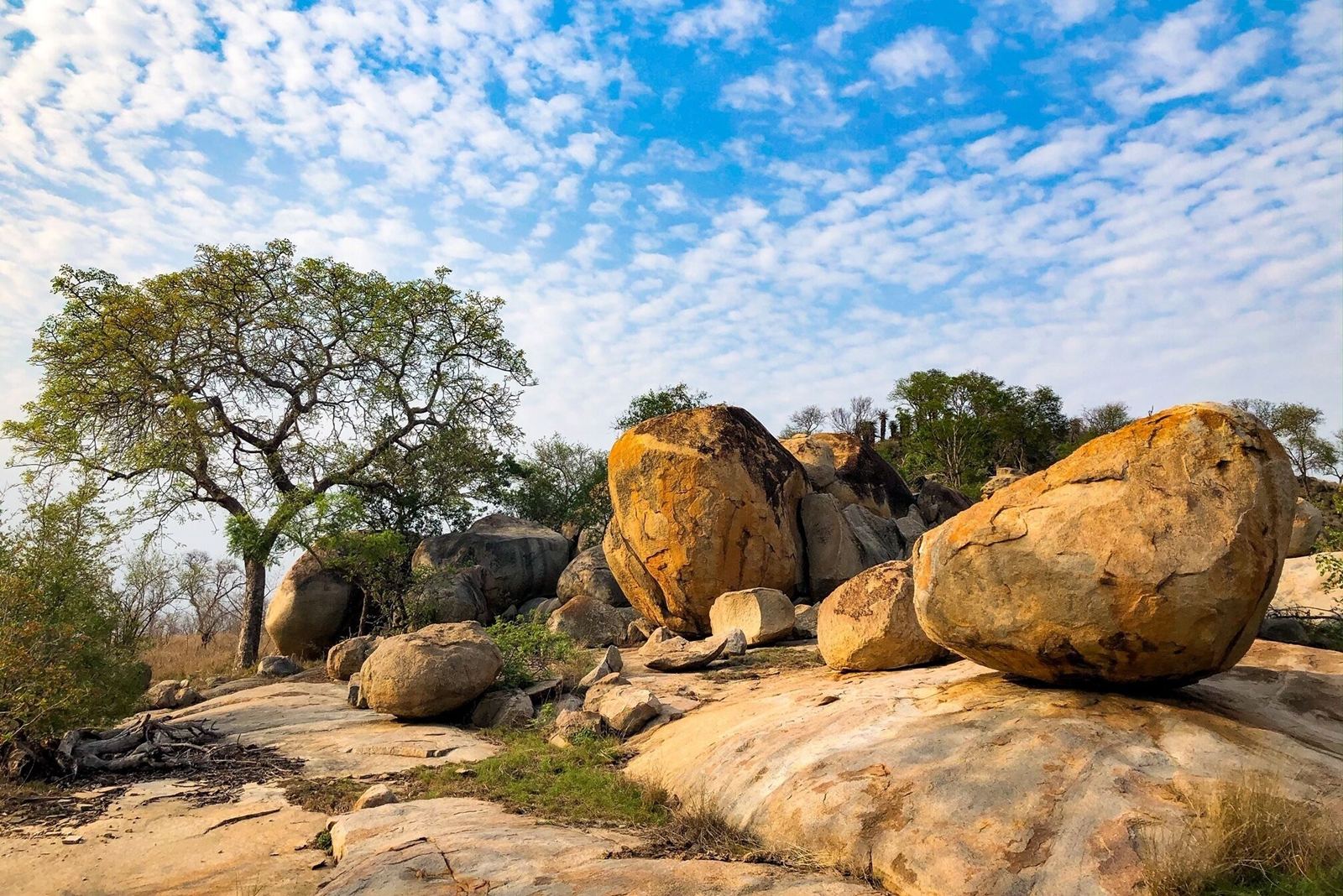 Rhino Walking Safaris en Kruger National Park