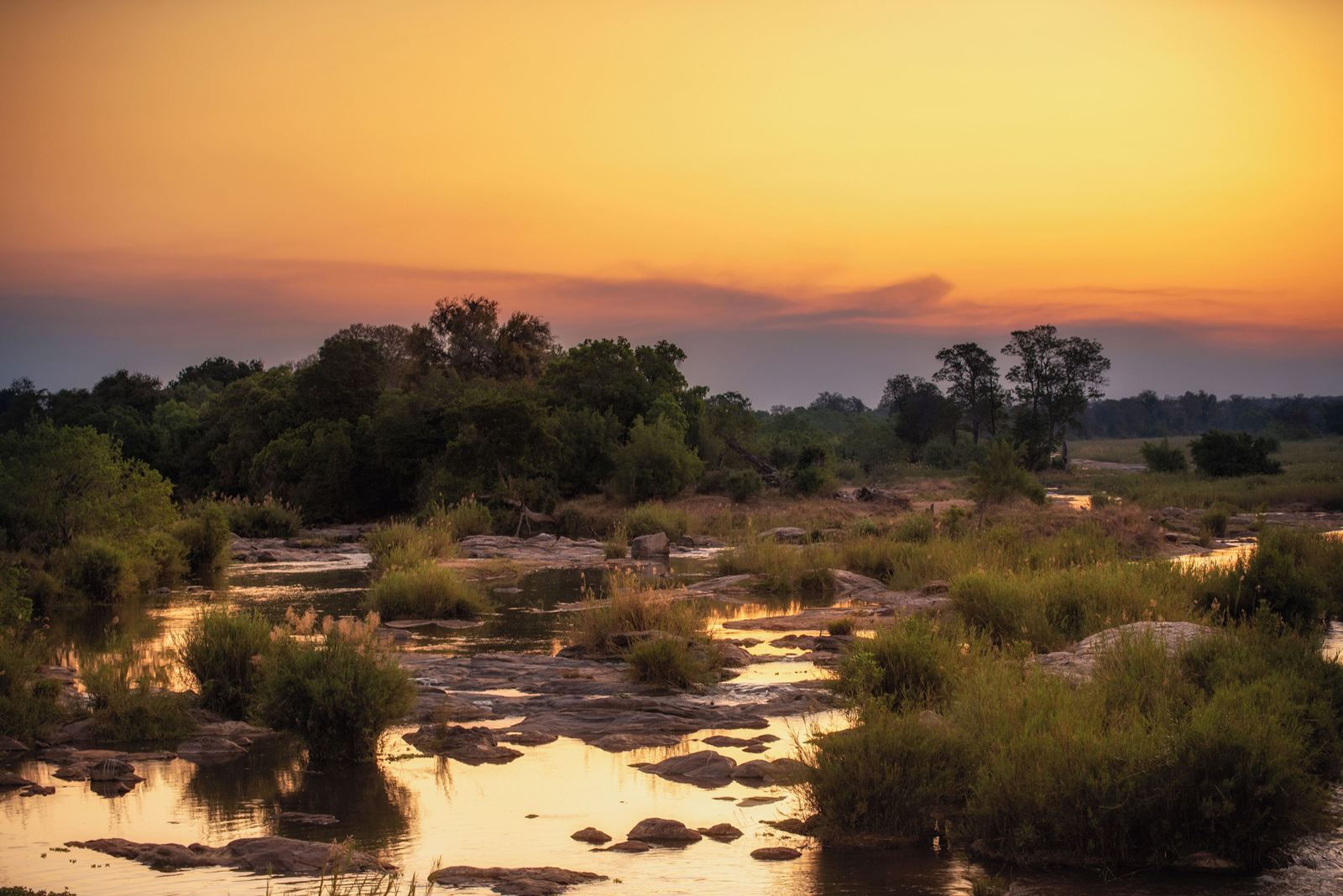 Rhino Walking Safaris en Kruger National Park