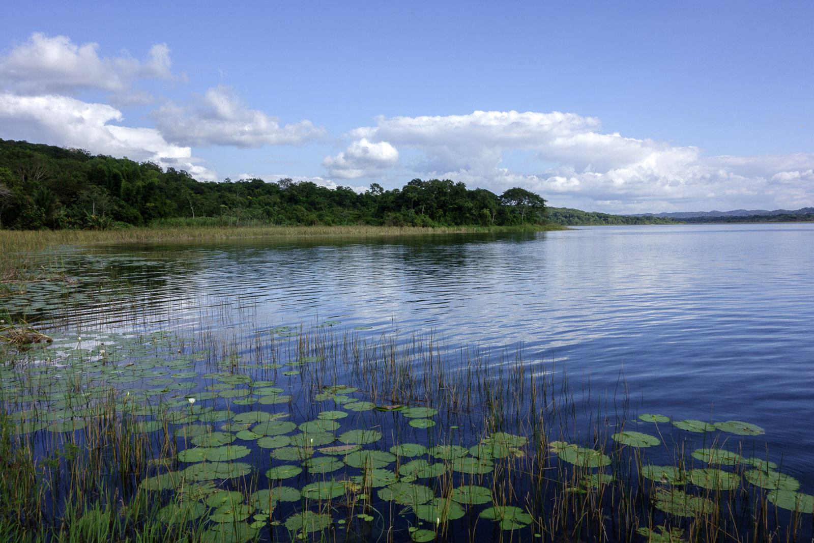 Lago Petén Itzá | LAT.40