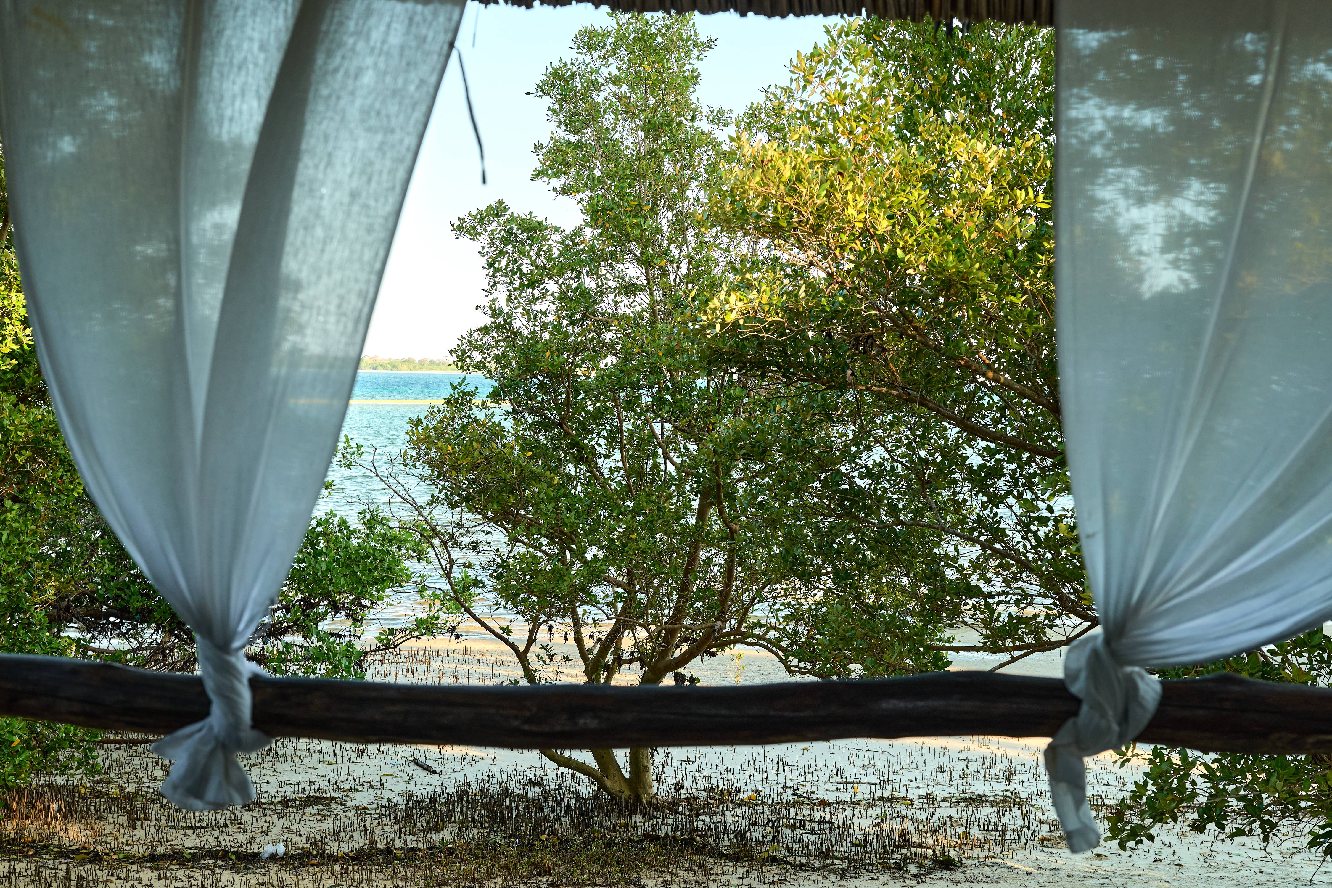 Pole Pole Bungalows en mafia island