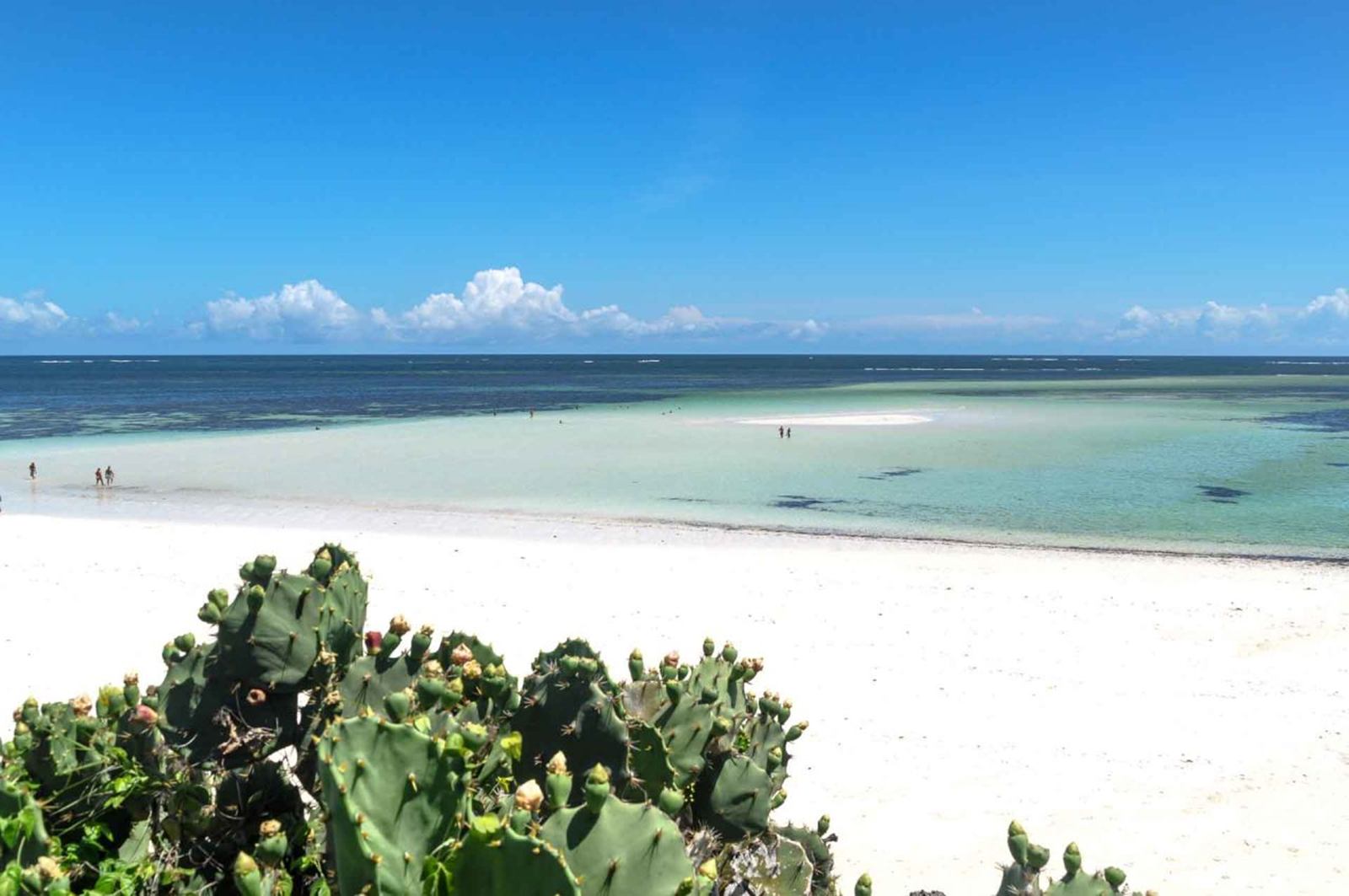 Malindi | LAT.40