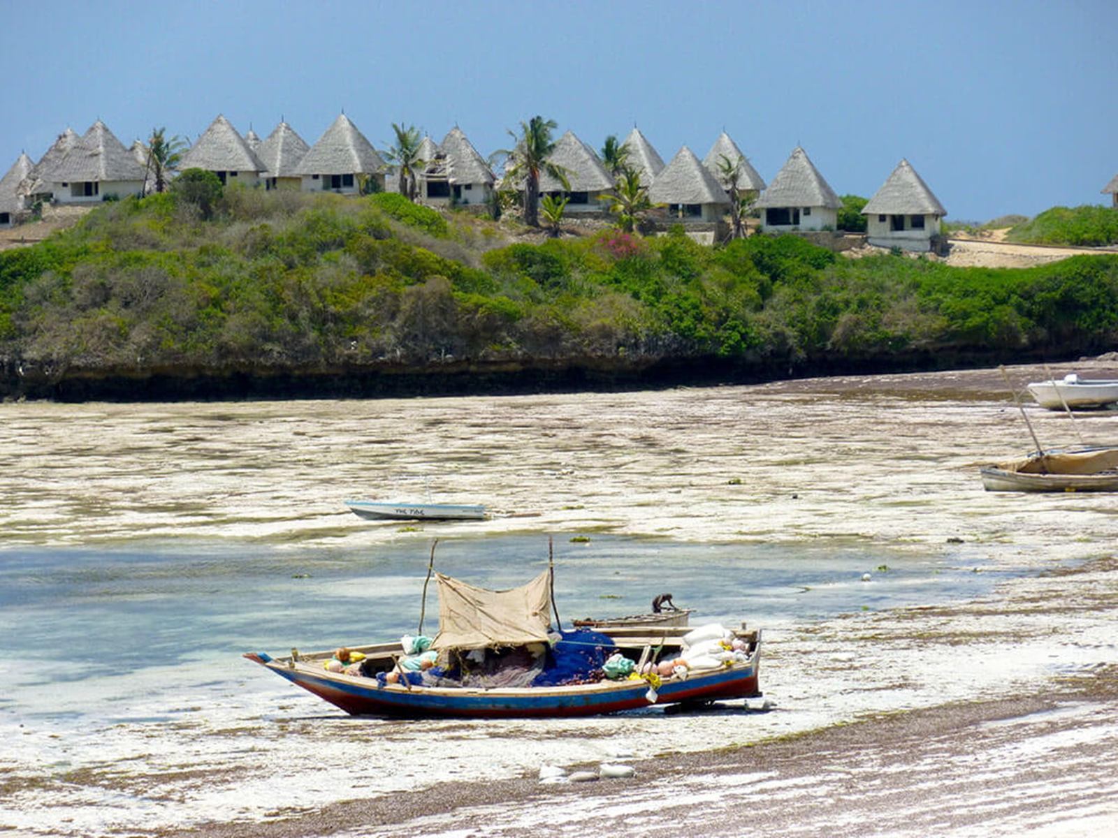 Malindi | LAT.40