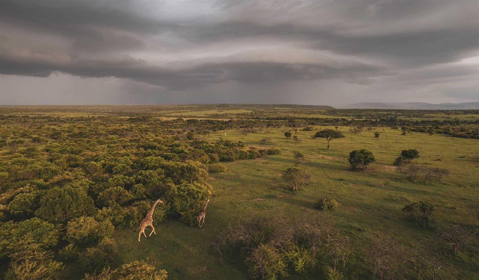 Lerai Safari Camp en su destino