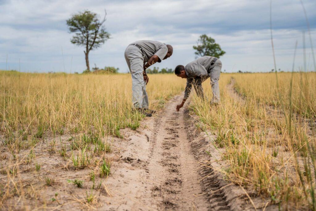 Moremi Crossing en Moremi