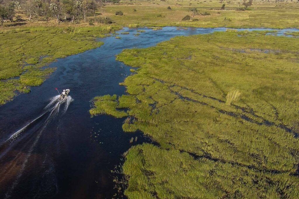 Moremi Crossing en Moremi