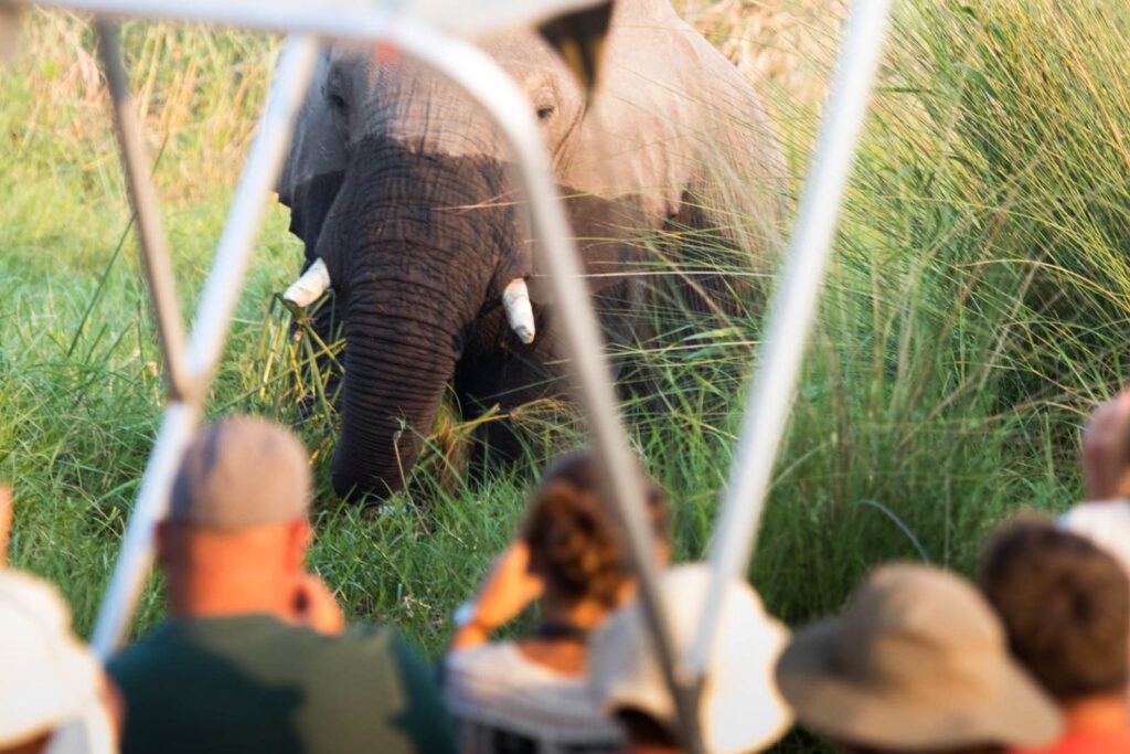 Moremi Crossing en Moremi