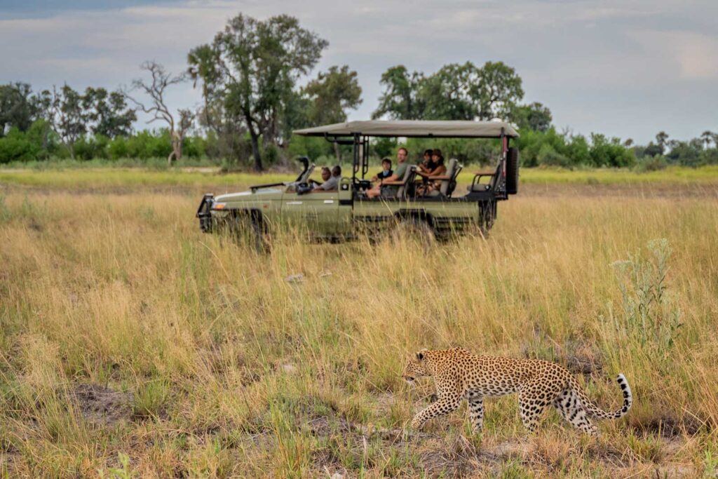 Moremi Crossing en Moremi