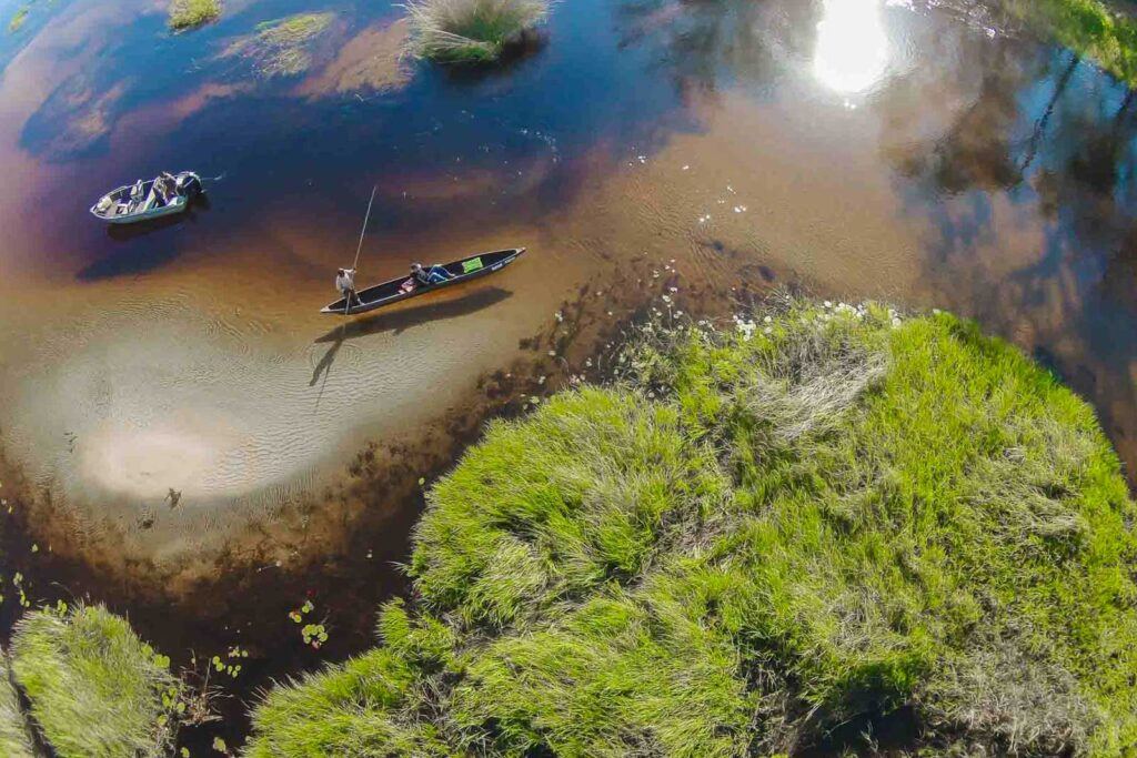 Moremi Crossing en Moremi