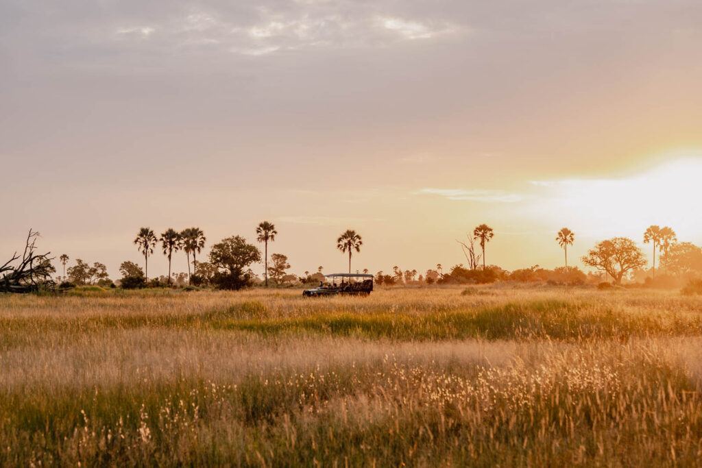 Moremi Crossing en Moremi