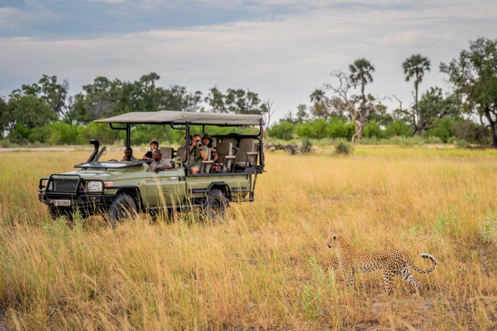 Moremi Crossing en Moremi