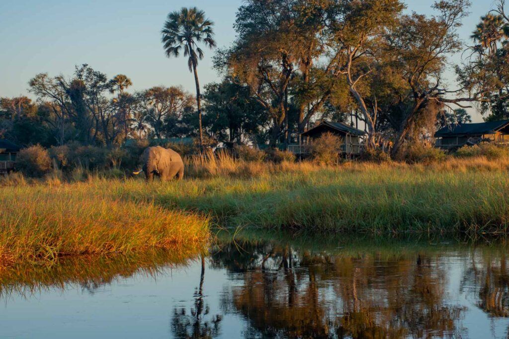 Moremi Crossing en Moremi