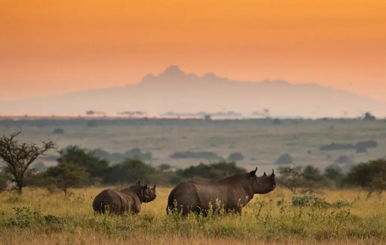 Nairobi