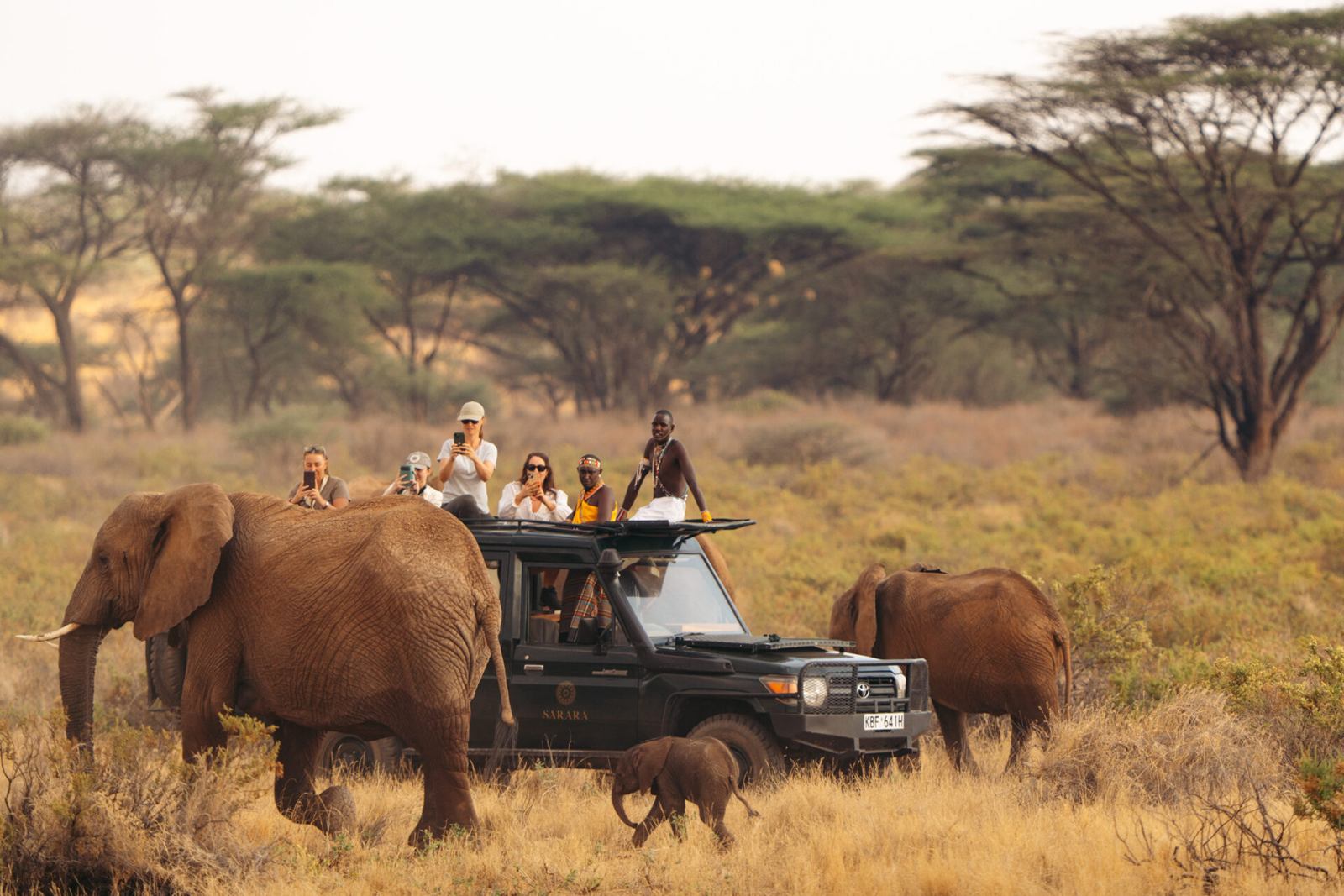 Namunyak Wildlife Conservancy