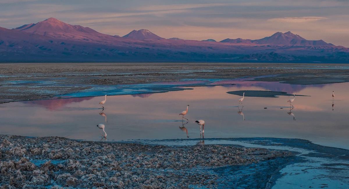 Desierto de Atacama